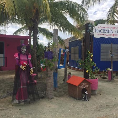 Hotel Hacienda La Catrina 홀박스아일랜드 외부 사진