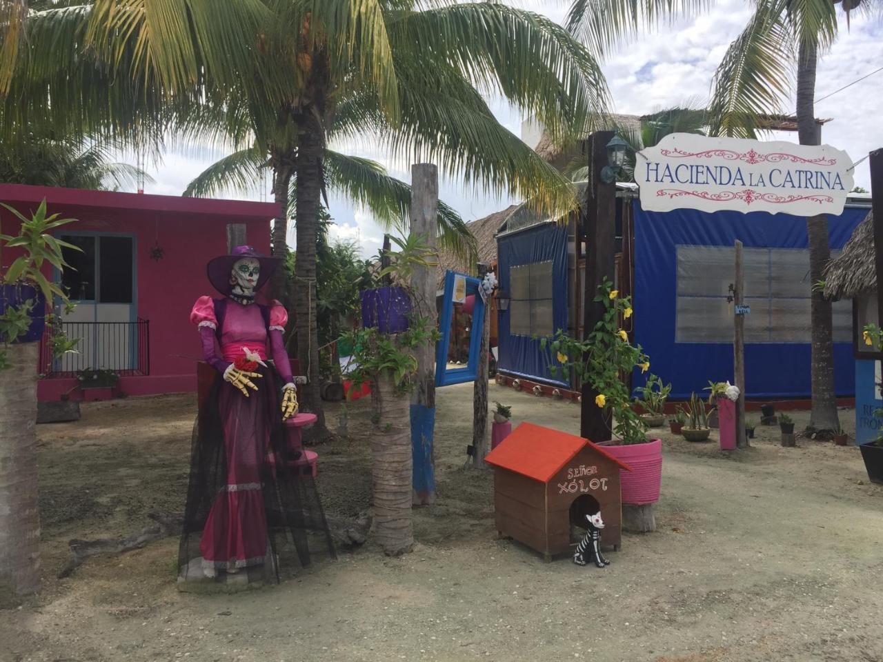 Hotel Hacienda La Catrina 홀박스아일랜드 외부 사진